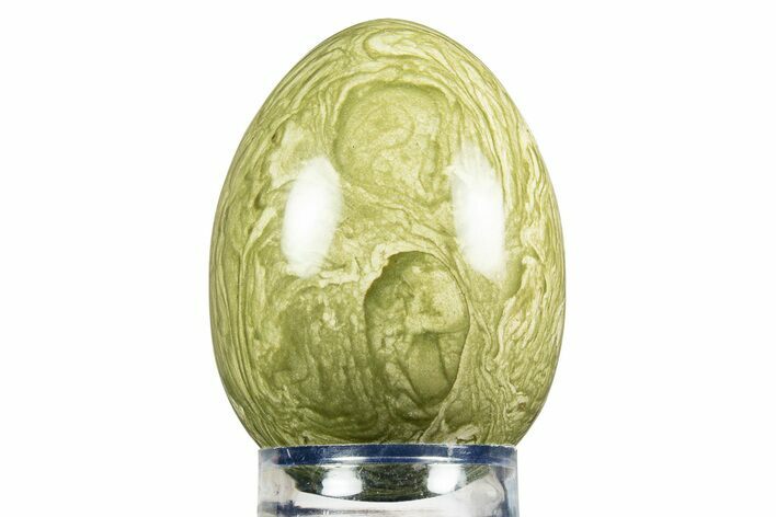 Polished Lizard Stone (Jasper) Egg - Arizona #308876